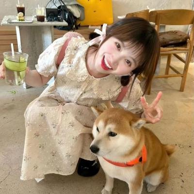 陌生人的旋律